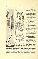  no thumbnail available