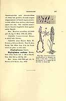  no thumbnail available