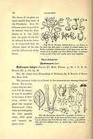  no thumbnail available