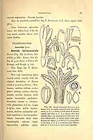  no thumbnail available