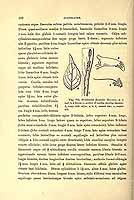  no thumbnail available