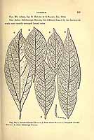  no thumbnail available