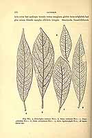  no thumbnail available