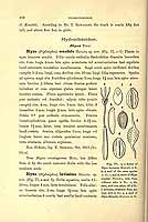  no thumbnail available