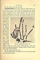  no thumbnail available