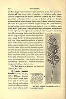  no thumbnail available