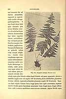  no thumbnail available