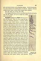  no thumbnail available