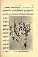  no thumbnail available