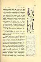  no thumbnail available