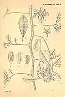  no thumbnail available