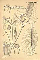  no thumbnail available