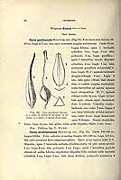  no thumbnail available