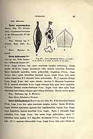  no thumbnail available