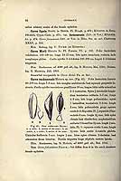  no thumbnail available