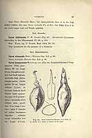  no thumbnail available