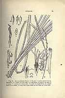  no thumbnail available