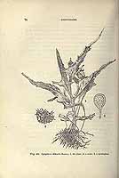  no thumbnail available