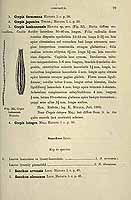  no thumbnail available