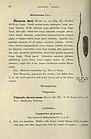  no thumbnail available