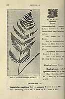  no thumbnail available