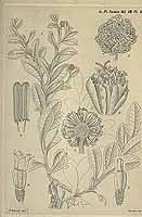  no thumbnail available