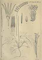  no thumbnail available