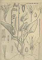  no thumbnail available