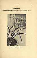  no thumbnail available