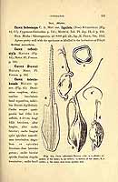  no thumbnail available