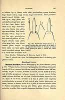  no thumbnail available