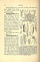  no thumbnail available