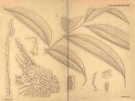  no thumbnail available