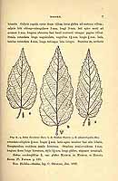  no thumbnail available