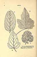  no thumbnail available