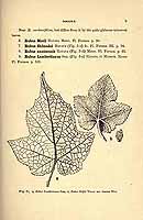  no thumbnail available