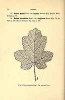  no thumbnail available