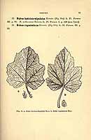  no thumbnail available