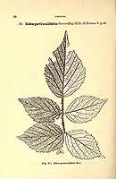  no thumbnail available