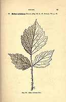  no thumbnail available