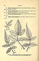  no thumbnail available