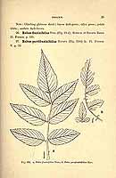  no thumbnail available