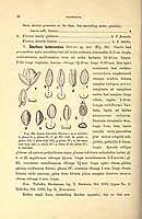  no thumbnail available