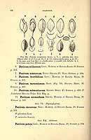  no thumbnail available