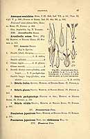  no thumbnail available