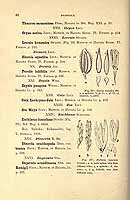  no thumbnail available