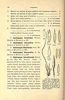  no thumbnail available