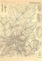  no thumbnail available