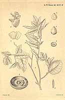  no thumbnail available