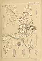  no thumbnail available